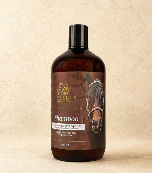 Shampoo | Linea Equina